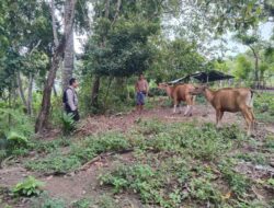 Polisi dan Warga Bersinergi Wujudkan Ketahanan Pangan Keluarga di Lombok Barat