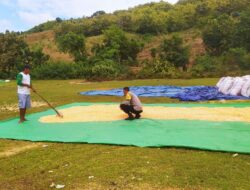 Bhabinkamtibmas Aktif Dukung Ketahanan Pangan di Sekotong