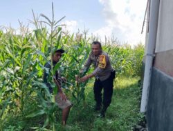 Peran Bhabinkamtibmas dalam Mendukung Ketahanan Pangan Nasional di Lombok Barat