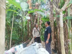 Polsek Batulayar Dorong Swasembada Pangan Lewat Pemanfaatan Pekarangan