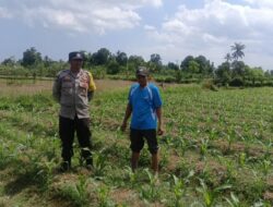 Polsek Gerung Dorong Ketahanan Pangan Lewat Silaturahmi dan DDS di Desa Beleka