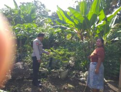 Polsek Kuripan Dorong Ketahanan Pangan Lewat Peran Aktif Bhabinkamtibmas