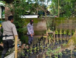 Polsek Kuripan Dorong Ketahanan Pangan Lewat Kunjungan Warga