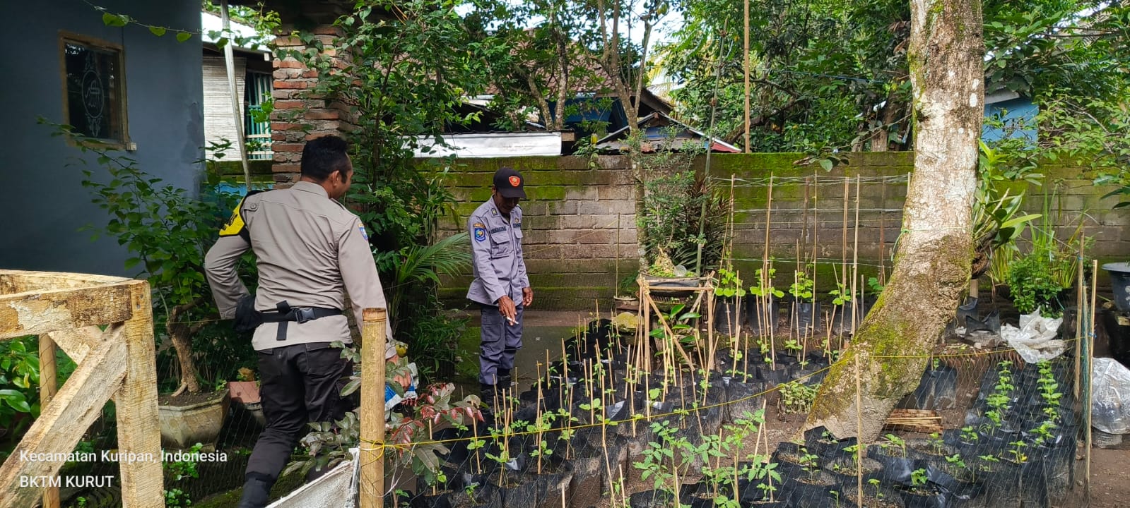 Bhabinkamtibmas Kuripan Edukasi Warga Soal Ketahanan Pangan Lokal