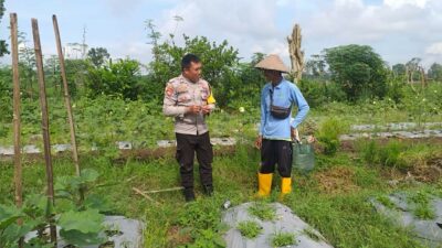 Bhabinkamtibmas Desa Jagaraga Sosialisasikan Ketahanan Pangan Melalui Kunjungan Warga
