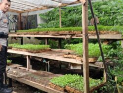 Polsek Labuapi Dukung Ketahanan Pangan Lewat Sambang Desa