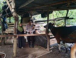 Polsek Batulayar Dorong Ketahanan Pangan Lewat Lahan Pekarangan