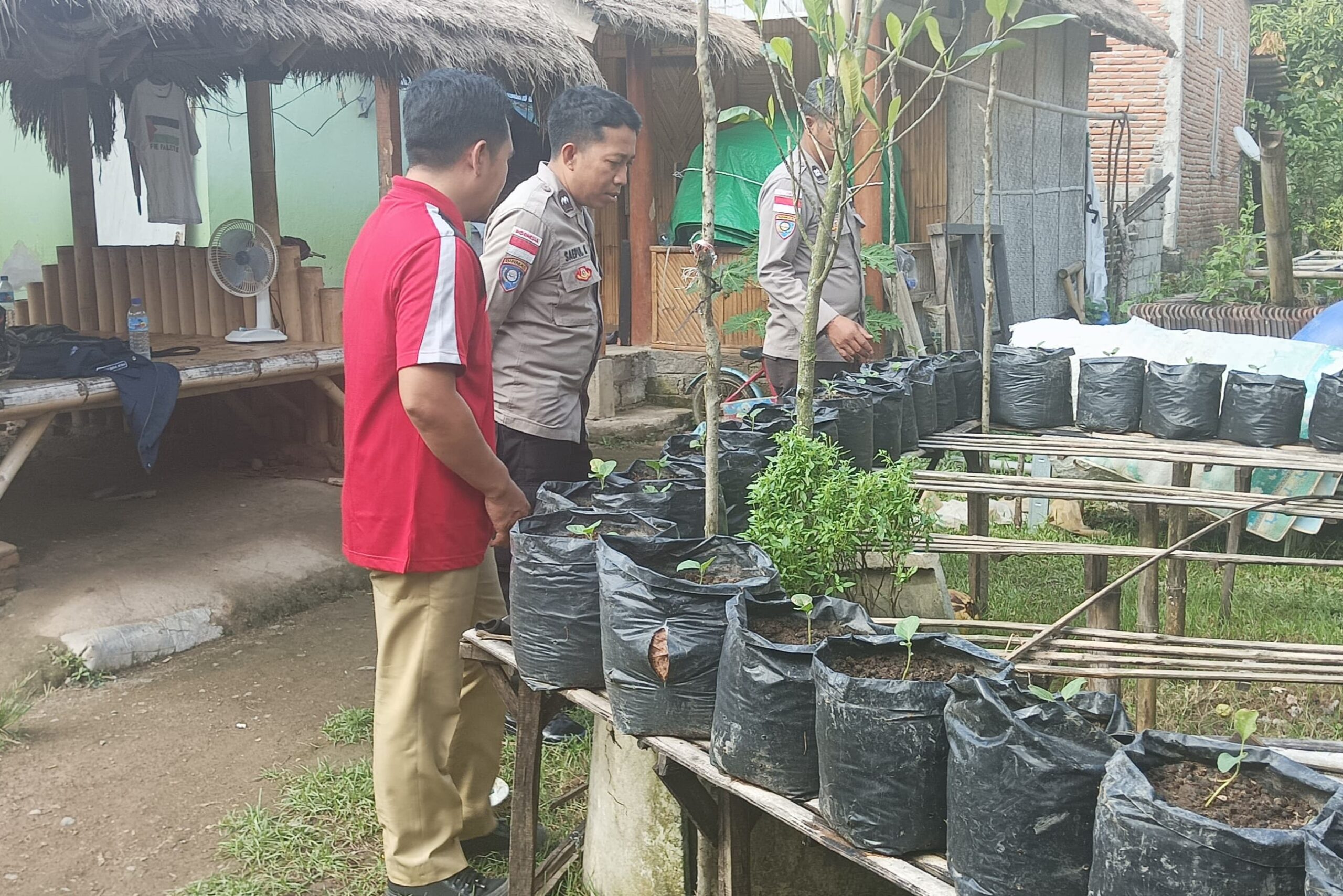 Kolaborasi Polri dan Pertanian dalam Program Pekarangan Bergizi untuk Ketahanan Pangan