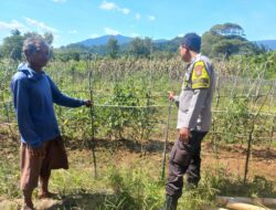 Bhabinkamtibmas Desa Ai Kangkung Dampingi Warga Kelola Pekarangan Pangan Bergizi, Dukung Ketahanan Pangan Lokal