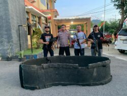 Dua Ekor Ayam dan Gelanggang Disita Tim Opsnal Polsek Rasbar Saat Penggerebekan Judi Sabung Ayam