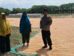 Dorong Ketahanan Pangan, Bhabinkamtibmas Pantau Penjemuran Jagung Warga Desa Daha