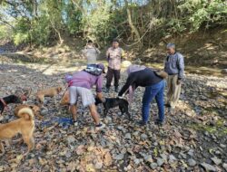 Bhabinkamtibmas Desa Sekongkang Atas Dampingi Petugas Poskeswan lakukan Vaksinasi Rabies