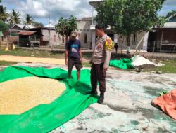 Bhabinkamtibmas Cempi Jaya Dampingi Petani Saat Pengemasan Jagung