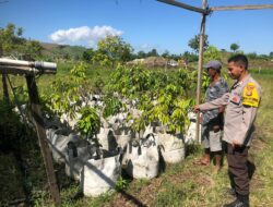 Bhabinkamtibmas Desa Katua Dorong Pemanfaatan Pekarangan untuk Tanaman Pangan