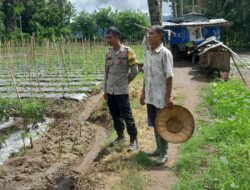 Bhabinkamtibmas Desa Goa Lakukan Monitoring Ketahanan Pangan Warga Binaan