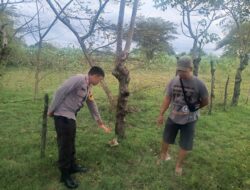 Hendak Menjaring Ikan, Seorang Pria Ditemukan Tewas Dengan Posisi Terlentang di Plampang