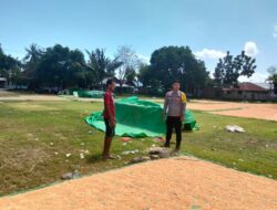 Pemantauan Jagung oleh Bhabinkamtibmas Desa Sawe untuk Dukung Ketahanan Pangan Nasional