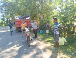 Pemantauan Hasil Panen Jagung Warga oleh Bhabinkamtibmas Desa Adu Dukung Ketahanan Pangan Nasional