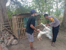 Dukung Wirausaha Warga Binaan, Bhabinkamtibmas Desa Sermong Komitmen Bantu Bibit Ternak Bebek Petelur