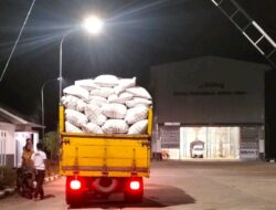 Apresiasi Petani Jagung utk Polsek Manggelewa: Polisi Hadir Bantu Ketahanan Pangan