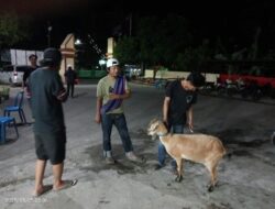 Team Opsnal Reskrim Polsek Rasanae Barat Amankan Dua Pelaku Pencurian Kambing saat Mobailing