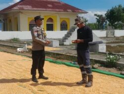 Bhabinkamtibmas Desa Daha Pantau Kegiatan Jemur Jagung Warga dalam Rangka Dukung Ketahanan Pangan Nasional