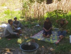 Bhabinkamtibmas Aktif Dampingi Petani Jagung di Desa Batu Putih