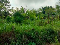 Kunjungan DDS Bhabinkamtibmas Kedaro: Ajak Warga Tanam Pangan di Pekarangan