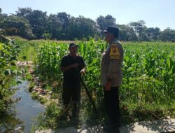 Sinergi Polisi dan Petani Wujudkan Ketahanan Pangan di Gerung Selatan