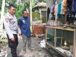 Peternakan Mandiri Warga Jagaraga Jadi Contoh Ketahanan Pangan Lokal