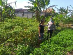 Polsek Kuripan Edukasi Petani Soal Ketahanan Pangan Desa