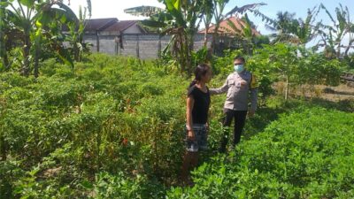 Polsek Kuripan Edukasi Petani Soal Ketahanan Pangan Desa