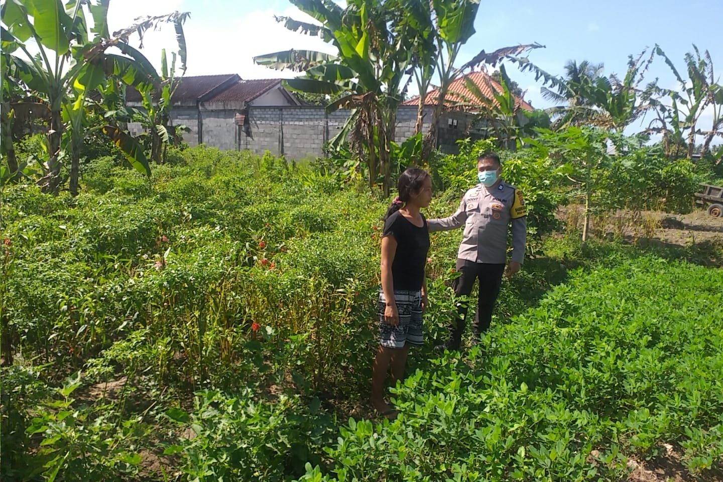 Ketahanan Pangan Desa Jagaraga Diperkuat Lewat Pendampingan Polri