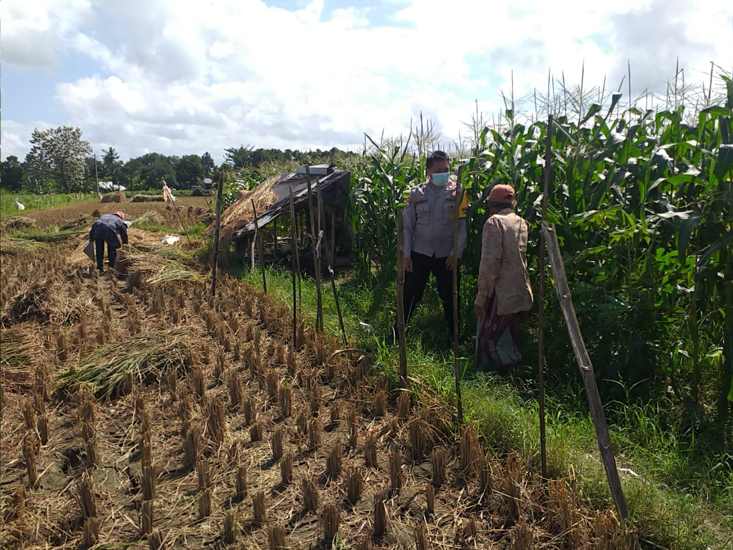Bhabinkamtibmas Sosialisasi Pemanfaatan Lahan Kosong untuk Pangan