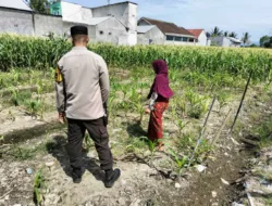 Polsek Labuapi Aktifkan Lahan Pekarangan untuk Pangan Lokal