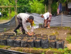 Polri Aktif di Desa: Sosialisasi Pangan Mandiri di Lendang Sembe