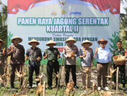 Panen Raya Jagung, Polres Loteng Dukung Swasembada Pangan Nasional. ‎