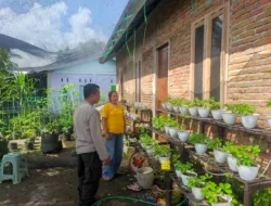 Polres Loteng Tinjau Lahan Pekarangan Pangan Bergizi Milik Warga di Batukliang Utara