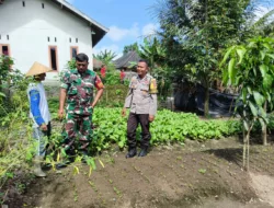 Polres Loteng Tinjau Lahan Pekarangan Pangan Bergizi Milik Warga di Kopang