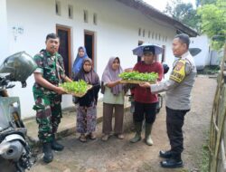 Bhabinkamtibmas Desa Lendang Ara Polsek Kopang Salurkan Bibit Terong Kepada Warga