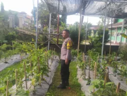 Polres Loteng Tinjau Lahan Pekarangan Pangan Bergizi Milik Warga di Batukliang.