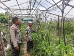 Polres Loteng Tinjau Lahan Pekarangan Pangan Bergizi Milik Warga.