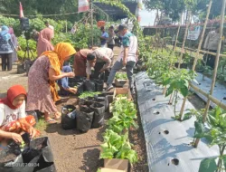 Polres Loteng Terus Gelorakan Ketahanan Pangan Melalui Penanaman Bibit Cabai Bersama Masyarakat