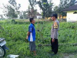 Pemanfaatan Pekarangan Rumah Didorong Bhabinkamtibmas di Kuripan