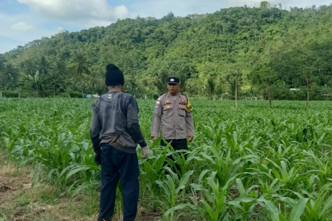 Kunjungan DDS: Ketahanan Pangan dan Kamtibmas Jadi Fokus Polisi Sekotong