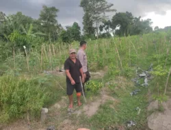 Wujudkan Kemandirian Pangan, Warga Mapak Barat Didorong Tanam Sendiri