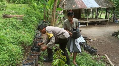 Inovasi Ketahanan Pangan dari Lombok Barat: Optimalisasi Lahan Pekarangan Warga