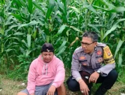Polisi Aktif di Ladang: Wujud Komitmen Ketahanan Pangan Desa Eyat Mayang