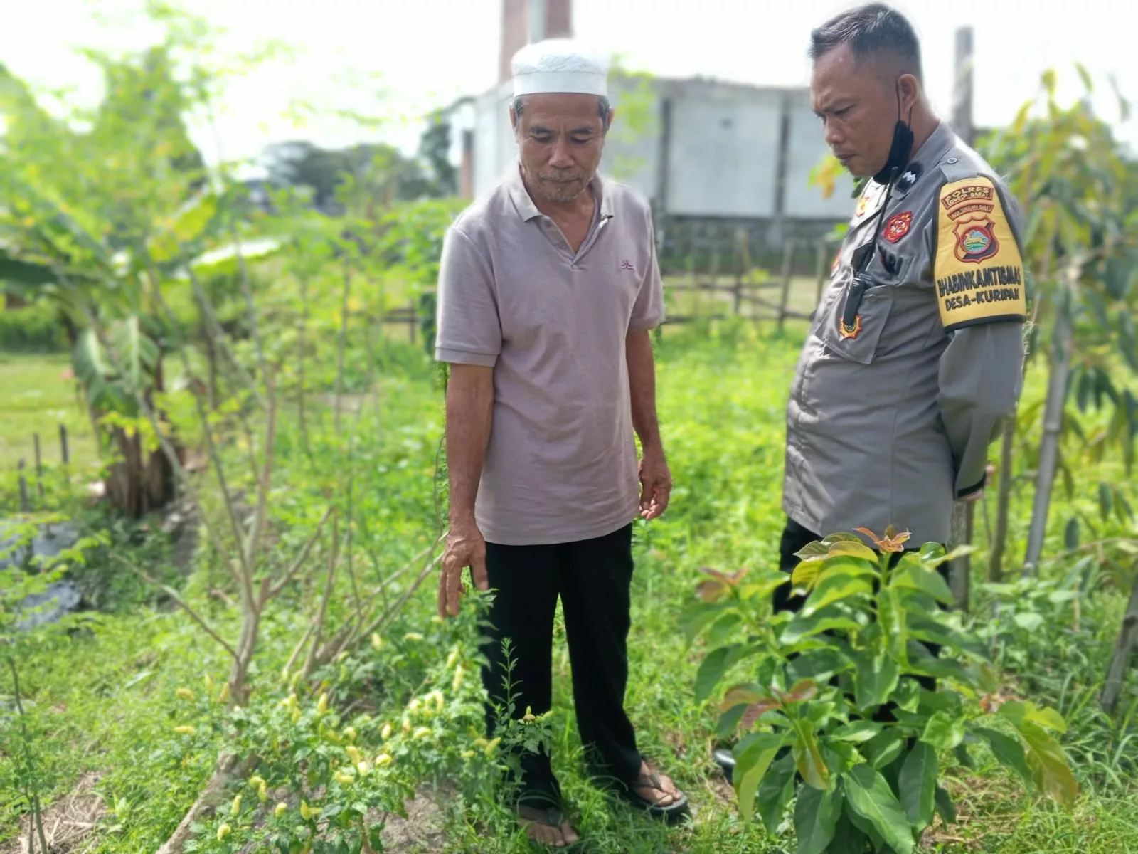 Polri Dorong Ketahanan Pangan di Desa Kuripan