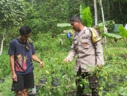 Program Pangan Mandiri Polri di Desa Batulayar NTB